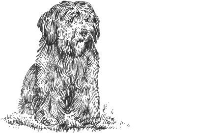 Иллюстрация к книге — Долгая дорога домой [img33.jpg]