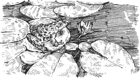 Иллюстрация к книге — Долгая дорога домой [img37.jpg]