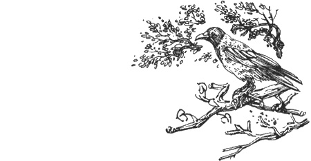 Иллюстрация к книге — Долгая дорога домой [img40.jpg]