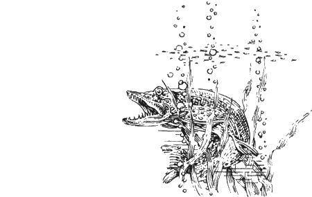 Иллюстрация к книге — Долгая дорога домой [img50.jpg]