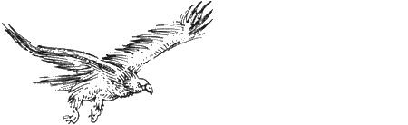 Иллюстрация к книге — Долгая дорога домой [img52.jpg]