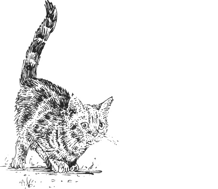 Иллюстрация к книге — Долгая дорога домой [img54.jpg]