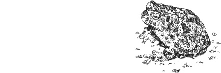 Иллюстрация к книге — Долгая дорога домой [img55.jpg]