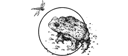 Иллюстрация к книге — Долгая дорога домой [img56.jpg]