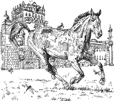 Иллюстрация к книге — Долгая дорога домой [img61.jpg]