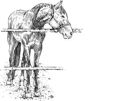 Иллюстрация к книге — Долгая дорога домой [img62.jpg]