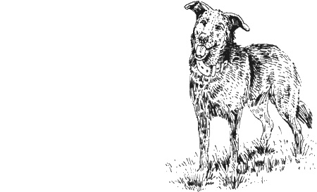 Иллюстрация к книге — Долгая дорога домой [img63.jpg]