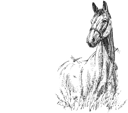 Иллюстрация к книге — Долгая дорога домой [img64.jpg]