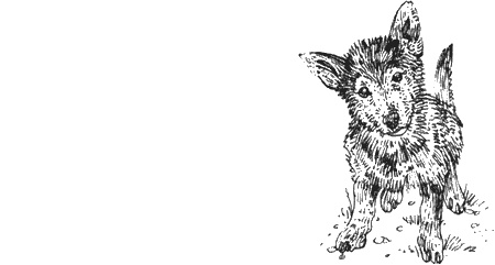 Иллюстрация к книге — Долгая дорога домой [img74.jpg]