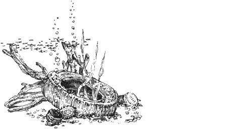 Иллюстрация к книге — Долгая дорога домой [img80.jpg]