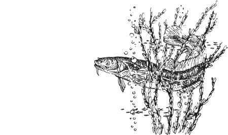 Иллюстрация к книге — Долгая дорога домой [img83.jpg]