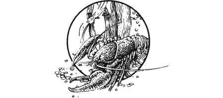 Иллюстрация к книге — Долгая дорога домой [img84.jpg]