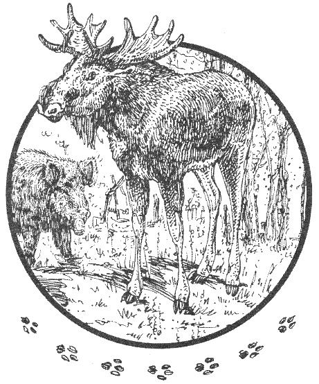 Иллюстрация к книге — Хорюшка [_003.jpg]