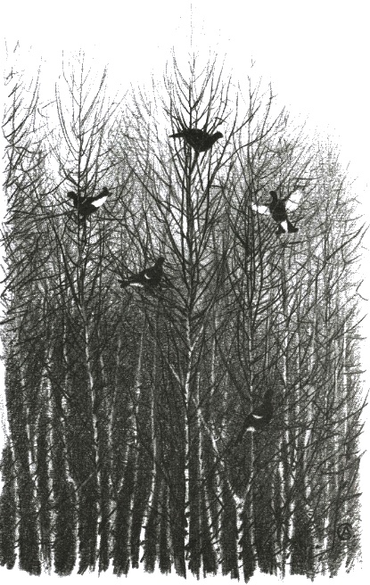 Иллюстрация к книге — Хорюшка [_018.jpg]