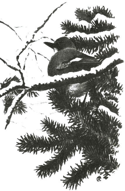 Иллюстрация к книге — Хорюшка [_021.jpg]