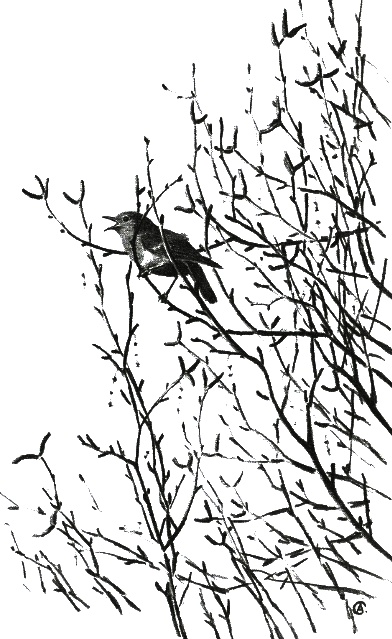 Иллюстрация к книге — Хорюшка [_025.jpg]