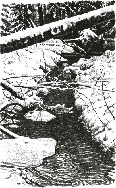 Иллюстрация к книге — Хорюшка [_038.jpg]