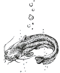 Иллюстрация к книге — Хорюшка [_046.jpg]