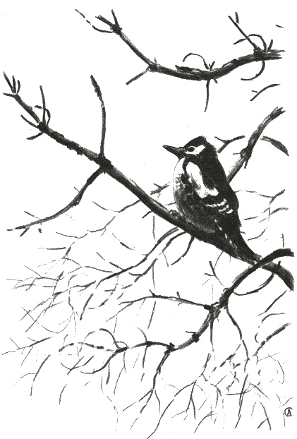 Иллюстрация к книге — Хорюшка [_055.jpg]