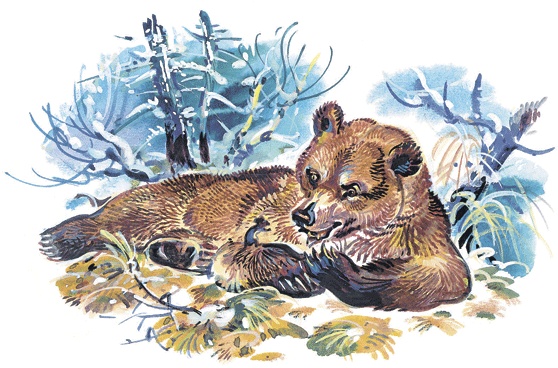 Иллюстрация к книге — Лесные сказки [i_002.jpg]