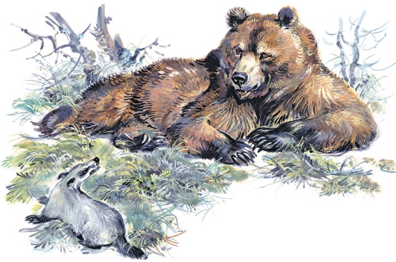 Иллюстрация к книге — Лесные сказки [i_004.jpg]