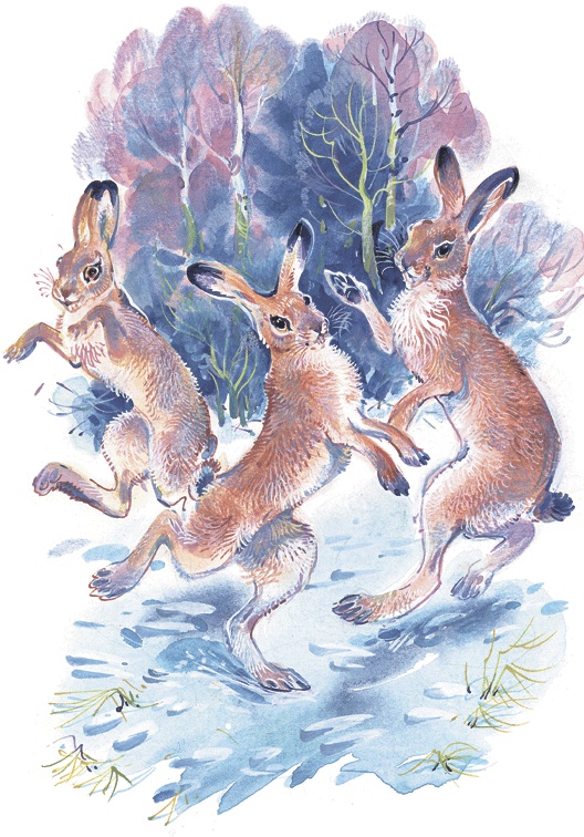 Иллюстрация к книге — Лесные сказки [i_011.jpg]