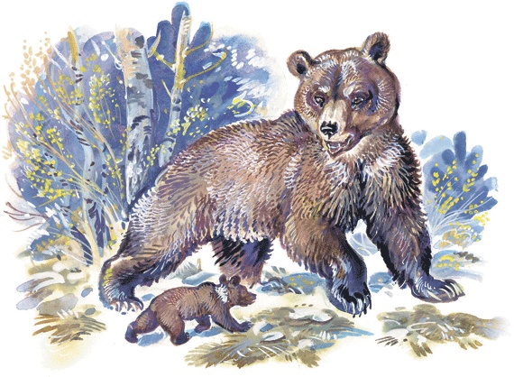 Иллюстрация к книге — Лесные сказки [i_014.jpg]