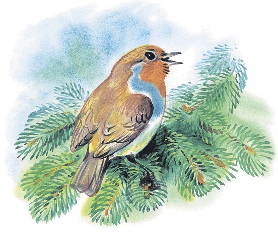 Иллюстрация к книге — Лесные сказки [i_017.jpg]