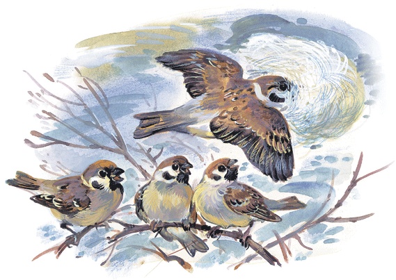 Иллюстрация к книге — Лесные сказки [i_019.jpg]