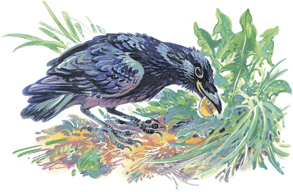 Иллюстрация к книге — Лесные сказки [i_039.jpg]