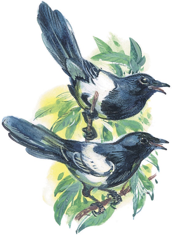 Иллюстрация к книге — Лесные сказки [i_040.jpg]