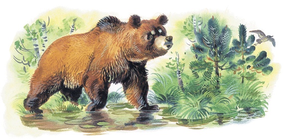 Иллюстрация к книге — Лесные сказки [i_043.jpg]