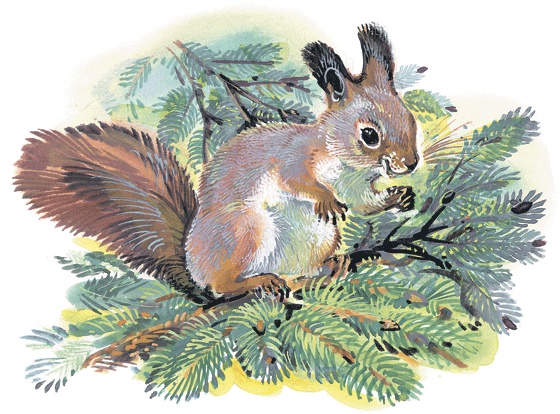 Иллюстрация к книге — Лесные сказки [i_049.jpg]