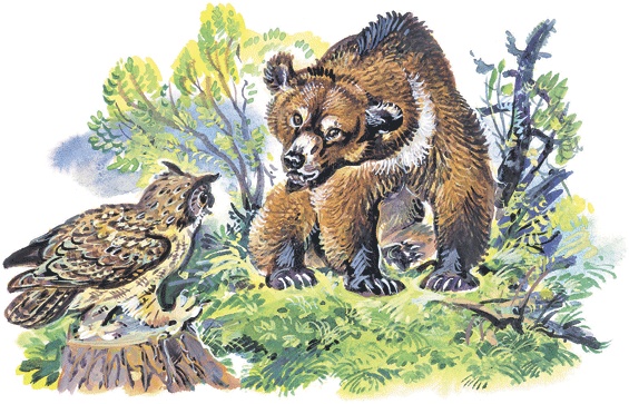 Иллюстрация к книге — Лесные сказки [i_053.jpg]