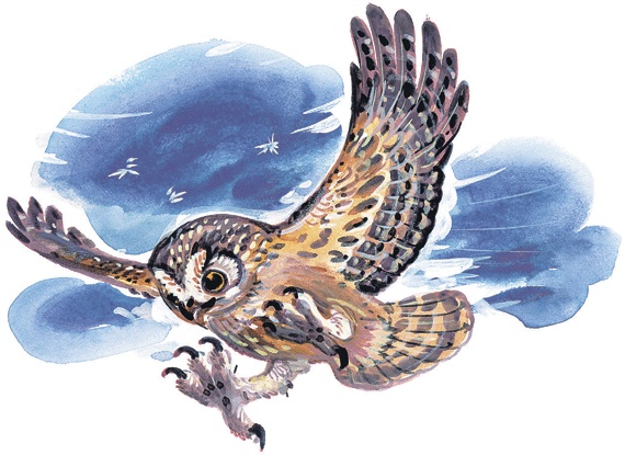 Иллюстрация к книге — Лесные сказки [i_054.jpg]