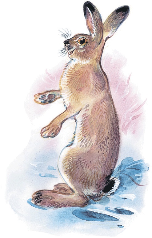 Иллюстрация к книге — Лесные сказки [i_058.jpg]