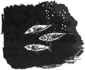 Иллюстрация к книге — Почему панда стоит на голове и другие удивительные истории о животных [i_002.jpg]