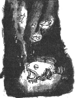 Иллюстрация к книге — Почему панда стоит на голове и другие удивительные истории о животных [i_004.jpg]