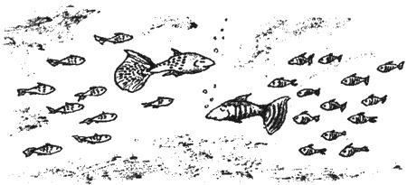 Иллюстрация к книге — Почему панда стоит на голове и другие удивительные истории о животных [i_019.jpg]