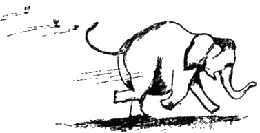 Иллюстрация к книге — Почему панда стоит на голове и другие удивительные истории о животных [i_027.jpg]