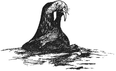 Иллюстрация к книге — Почему панда стоит на голове и другие удивительные истории о животных [i_042.jpg]