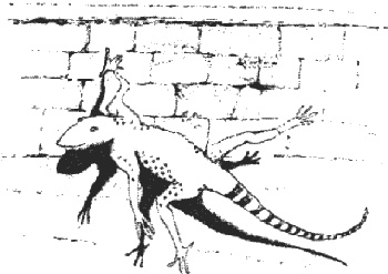 Иллюстрация к книге — Почему панда стоит на голове и другие удивительные истории о животных [i_046.jpg]