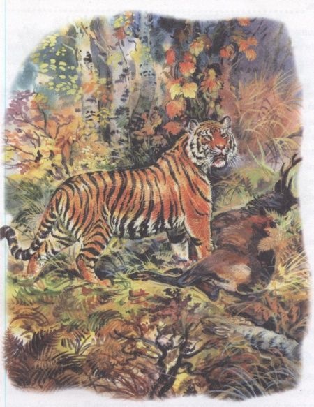 Иллюстрация к книге — Золотая Ригма [i_001.jpg]