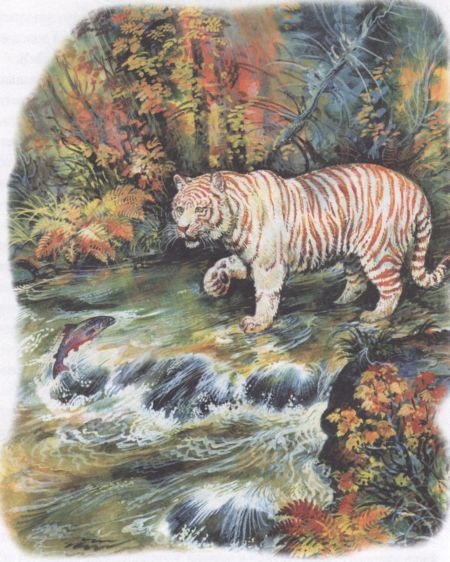 Иллюстрация к книге — Золотая Ригма [i_004.jpg]