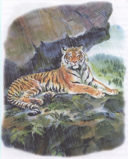 Иллюстрация к книге — Золотая Ригма [i_013.jpg]