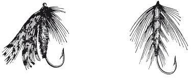 Иллюстрация к книге — Исконно русская рыбалка. Жизнь и ловля пресноводных рыб [i_012.jpg]