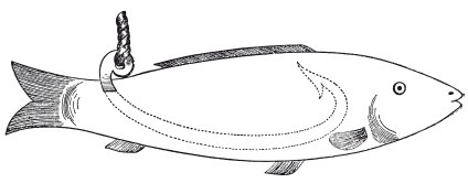 Иллюстрация к книге — Исконно русская рыбалка. Жизнь и ловля пресноводных рыб [i_024.jpg]