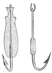 Иллюстрация к книге — Исконно русская рыбалка. Жизнь и ловля пресноводных рыб [i_035.jpg]
