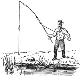 Иллюстрация к книге — Исконно русская рыбалка. Жизнь и ловля пресноводных рыб [i_072.jpg]