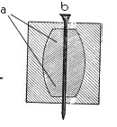 Иллюстрация к книге — Исконно русская рыбалка. Жизнь и ловля пресноводных рыб [i_129.jpg]